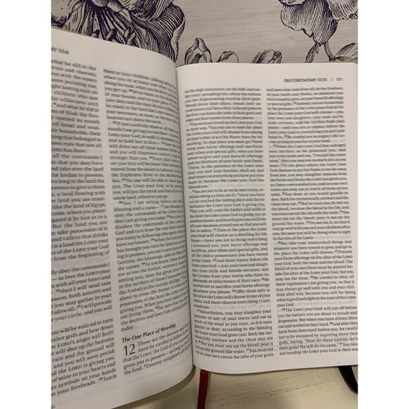 NIV Thinline Bible - BRAND NEW ~ Nature Brown Board ~ Simplistic - Picture 8 of 9